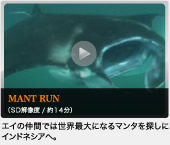 MANT RUN